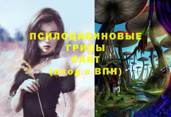 СК Пестово