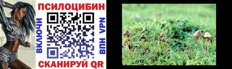 Галлюциногенные грибы Magic Shrooms  Плёс 